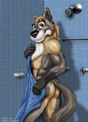 Size: 743x1024 | Tagged: suggestive, artist:wookiee, oc, oc:solitare, canine, mammal, anthro, 2004, 3d background, black body, black fur, blonde hair, brown body, brown eyes, brown fur, chest fluff, digital art, fluff, fur, gray body, gray fur, hair, hands, looking at you, male, muscles, muscular male, neck fluff, nudity, photo background, shower, signature, solo, solo male, tail, tail fluff, towel