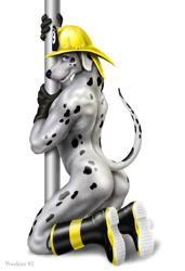 Size: 684x1000 | Tagged: suggestive, artist:wookiee, canine, dalmatian, dog, mammal, anthro, plantigrade anthro, 2002, black body, black fur, blue eyes, boots, butt, clothes, digital art, fireman, fireman hat, fur, gloves, looking at you, male, muscles, muscular male, nudity, pinup, pole, posing, shoes, signature, simple background, solo, solo male, spots, tail, white background, white body, white fur