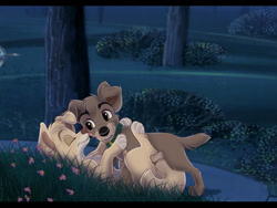 Size: 1024x768 | Tagged: safe, artist:tuwka, angel (lady and the tramp), scamp (lady and the tramp), canine, dog, mammal, mutt, feral, disney, lady and the tramp, 2d, bush, cute, duo, eyes closed, female, flower, letterboxing, male, male/female, night, night sky, on model, shipping, sky, smiling, tree, wholesome