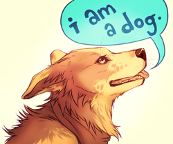 Size: 900x752 | Tagged: safe, artist:falvie, canine, dog, mammal, feral, bust, monologue, portrait, simple background, solo, talking