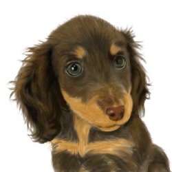 Size: 300x300 | Tagged: safe, artist:みつこんぶ, canine, dachshund, dog, mammal, feral, lifelike feral, 1:1, 2007, ambiguous gender, brown body, brown fur, cute, floppy ears, fur, looking at you, low res, non-sapient, orange body, orange fur, photorealism, realistic, simple background, solo, solo ambiguous, white background