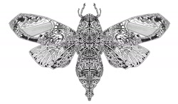 Size: 1450x850 | Tagged: safe, artist:gokusai studio, arthropod, insect, feral, 2007, ambiguous gender, cicada, solo, solo ambiguous