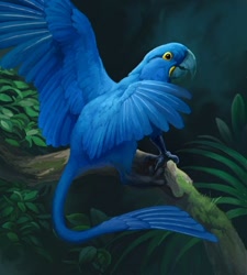 Size: 450x500 | Tagged: safe, artist:ナブランジャ, bird, feline, fictional species, gryphon, hyacinth macaw, macaw, mammal, parrot, feral, 2007, ambiguous gender, low res, side view, solo, solo ambiguous