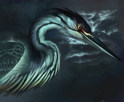 Size: 510x420 | Tagged: safe, artist:ナブランジャ, bird, heron, feral, 2007, ambiguous gender, side view, solo, solo ambiguous