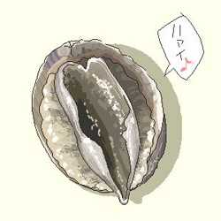 Size: 300x300 | Tagged: safe, artist:干し首, abalone, mollusk, sea snail, feral, lifelike feral, 1:1, 2007, ambiguous gender, dialogue, japanese text, low res, non-sapient, realistic, shell, solo, solo ambiguous, talking, translation request