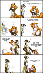 Size: 780x1333 | Tagged: suggestive, artist:sabretoothedermine, oc, oc:karishad, oc:tahoe, black-footed ferret, canine, fox, mammal, mustelid, red fox, anthro, 2007, 2d, angry, back fluff, big tail, bipedal, brown body, brown fur, casual nudity, cheek fluff, chest fluff, comic, comic sans, commission, complete nudity, countershading, dialogue, digital art, dipstick tail, duo, duo male, ear fluff, ears, ears laid back, elbow fluff, flirting, fluff, funny, fur, gloves (arm marking), hair dryer, hand behind head, hand hold, hand on chest, hand on hip, head fluff, holding, long tail, male, males only, multicolored body, multicolored fur, neck fluff, not amused face, nudity, open mouth, orange body, orange fur, orange tail, pointy ears, pubic fluff, pun, side view, simple background, tail, tail fluff, talking, water hose, wet, wet body, wet fur, whiskers, white background, white body, white fur, white tail tip, yellow body, yellow fur