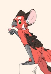 Size: 1100x1600 | Tagged: safe, artist:521kan, oc, oc:521kan, bird, anthro, beak, big ears, bird feet, black feathers, blep, butt fluff, cheek fluff, ears, feathers, fluff, gray body, green eyes, hand hold, holding, lollipop, looking at you, male, pink body, red feathers, side view, simple background, solo, solo male, tail, tail feathers, tongue, tongue out, white feathers, winged arms, wings