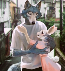Size: 1600x1732 | Tagged: safe, artist:hriscia, haru (beastars), legoshi (beastars), canine, lagomorph, mammal, rabbit, wolf, anthro, beastars, 2020, anthro/anthro, black eyes, blushing, building, cheek fluff, clothes, digital art, digital painting, dress, duo, ear fluff, female, fluff, front view, fur, gray body, gray fur, hand on back, hand on neck, hand on shoulder, hug, interspecies, long ears, looking at someone, looking down, male, male/female, open mouth, outdoors, shipping, shirt, short tail, side view, size difference, street, tail, tail fluff, teeth, topwear, white body, white fur