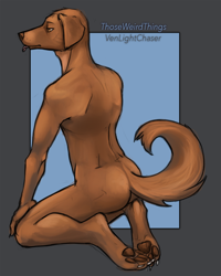 Size: 800x1000 | Tagged: safe, artist:venlight, oc, oc only, oc:nanashi the dog, canine, dog, mammal, anthro, digitigrade anthro, abstract background, amber eyes, brown body, brown fur, butt, claws, eyebrows, floppy ears, fur, male, males only, nudity, paw pads, paws, simple background, solo, solo male, tail, tongue, tongue out, twink
