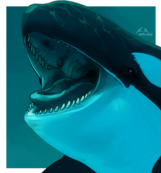 Size: 755x815 | Tagged: suggestive, artist:imperatorcaesar, cetacean, mammal, orca, feral, ambiguous gender, bust, mawshot, open mouth, sharp teeth, solo, solo ambiguous, teeth, underwater, water