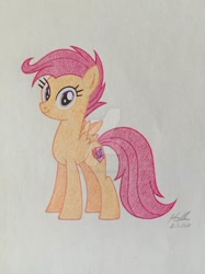 Size: 1280x1707 | Tagged: safe, artist:soulsliver249, scootaloo (mlp), equine, fictional species, mammal, pegasus, pony, feral, friendship is magic, hasbro, my little pony, 2020, feathered wings, feathers, female, mare, older, on model, signature, simple background, smiling, solo, solo female, tail, traditional art, white background, wings