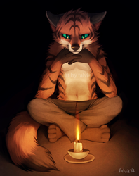Size: 550x695 | Tagged: safe, artist:falvie, canine, fox, mammal, anthro, 2012, ambiguous gender, belly button, bottomwear, brown body, brown fur, candle, clothes, crossed legs, digital art, fire, front view, fur, looking at you, orange body, orange fur, pants, partial nudity, simple background, sitting, solo, solo ambiguous, striped fur, tail, topless