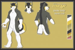 Size: 1280x853 | Tagged: safe, artist:xenonnero, oc, oc only, oc:mango (mangocurl), canine, dog, husky, mammal, anthro, digitigrade anthro, 2019, belly button, black hair, butt, claws, color palette, complete nudity, curled tail, digital art, ear fluff, fluff, front view, fur, gray body, gray fur, hair, male, nudity, paw pads, paws, pubic fluff, rear view, reference sheet, solo, solo male, tail, tail fluff, three-quarter view, yellow body, yellow fur