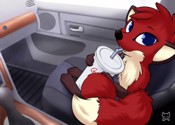 Size: 3500x2500 | Tagged: safe, artist:kettukarkki, rita (jungledyret), canine, fox, mammal, red fox, feral, coca-cola, jungledyret, 2017, 2d, black nose, blue eyes, brown body, brown fur, car, cockpit, cream body, cream fur, cup, cute, cute little fangs, drink, drinking, ears, eyebrows, fangs, featured image, female, fluff, fur, high res, indoors, looking at you, multicolored fur, no pupils, paws, red body, red fur, sharp teeth, signature, sitting, socks (leg marking), soda, solo, solo female, straw, tail, tail fluff, teeth, vehicle, vixen