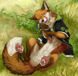 Size: 1280x1250 | Tagged: safe, artist:hndmdy, oc, oc only, oc:lwr, canine, fox, mammal, red fox, feral, 2020, 2d, black nose, bottomless, cheek fluff, chest fluff, claws, clothes, countershading, cute, detailed, detailed background, dipstick tail, ear fluff, fangs, featureless crotch, fluff, fur, grass, hoodie, legs in air, licking lips, looking at you, looking up, looking up at you, lying down, male, neck fluff, nudity, on back, orange body, orange eyes, orange fur, outdoors, partial nudity, paw fluff, paw pads, paws, pink paw pads, pointy ears, sharp teeth, solo, solo male, tail, tail fluff, teeth, tongue, tongue out, top view, topwear, underpaw, whiskers, white body, white fur
