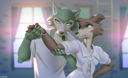 Size: 1150x700 | Tagged: safe, artist:miles-df, juno (beastars), legoshi (beastars), canine, mammal, wolf, anthro, beastars, 2020, blushing, bottomwear, breasts, brown fur, cheek fluff, claws, clothes, crop top, curtains, duo, ear fluff, female, floppy ears, fluff, front view, fur, gray eyes, gray fur, holding arm, holding character, indoors, ladder, lidded eyes, looking at someone, looking at something, looking up, male, male/female, no iris, open mouth, purple eyes, scenery, scenery porn, shipping, shirt, signature, skirt, topwear, windows
