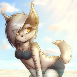 Size: 1384x1384 | Tagged: safe, artist:tuzz-arts, oc, oc only, oc:rain lily, bobcat, feline, lynx, mammal, anthro, 1:1, 2018, asymmetrical hair, bangs, bare shoulders, bikini, black outline, blue sky, body fur, bottomwear, bra, breasts, brown body, brown fur, cleavage, closed mouth, clothes, cloud, collarbone, colored outline, cowboy shot, day, digital art, ear fluff, ear piercing, ear tuft, earring, eye clipping through hair, eye through hair, female, fluff, freckles, fur, gray body, gray fur, gray hair, grey hair, hair, hair over one eye, hand between legs, happy, jewelry, kemono, leaning forward, light rays, lingerie, long hair, looking to the side, outdoors, panties, piercing, raised tail, short tail, shorts, side view, signature, sky, slit pupils, small breasts, smiling, solo, solo female, standing, striped fur, stripes, sunlight, swimsuit, tail, tail fluff, three-quarter view, two-tone fur, underwear, watermark, white body, white fur, yellow eyes