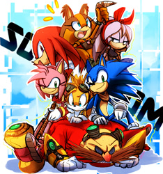 Size: 864x925 | Tagged: safe, artist:omiza-zu, amy rose (sonic), doctor eggman (sonic), knuckles the echidna (sonic), miles "tails" prower (sonic), perci the bandicoot (sonic), sonic the hedgehog (sonic), sticks the badger (sonic), badger, bandicoot, canine, echidna, fox, hedgehog, human, mammal, marsupial, monotreme, mustelid, red fox, anthro, humanoid, sega, sonic boom (series), sonic the hedgehog (series), 2014, bandage, bandanna, blue eyes, boomerang, breasts, clothes, cyan eyes, digital art, dipstick tail, dress, english text, female, fluff, fluffy, fluffy tail, gloves, goggles, green eyes, group, hammer, headband, jacket, male, multiple tails, open mouth, orange tail, piko piko hammer, purple eyes, quills, red tail, shoes, sports tape, tail, tail fluff, text, topwear, two tails, white tail