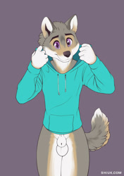 Size: 850x1209 | Tagged: suggestive, artist:shiuk, oc, oc only, canine, mammal, wolf, anthro, animal genitalia, balls, bottomless, clothes, digital art, fluffy tail, hand hold, happy, holding, hoodie, looking at you, male, nudity, partial nudity, purple background, purple eyes, sheath, sheathed, simple background, smiling, solo, solo male, tail, topwear
