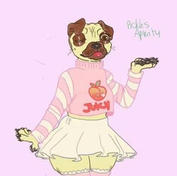Size: 470x469 | Tagged: safe, artist:morbidfawn, pickles (bojack horseman), canine, dog, mammal, pug, anthro, bojack horseman, 2020, :p, bottomwear, brown eyes, clothes, english text, female, low res, midriff peek, one eye closed, paw pads, paws, peach, pink background, simple background, skirt, solo, solo female, text, tongue, tongue out, underpaw, winking