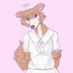 Size: 457x457 | Tagged: safe, artist:morbidfawn, juno (beastars), canine, dog, mammal, anthro, beastars, 2020, clothes, dress, female, low res, pink background, purple eyes, signature, simple background, solo, solo female, tail, text
