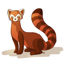 Size: 1600x1600 | Tagged: safe, artist:anna rettberg, pabu (avatar tla), fictional species, fire ferret, mammal, feral, avatar: the last airbender, nickelodeon, 2012, looking at you, male, paws, ringtail, signature, simple background, sitting, solo, solo male, tail, white background, yellow eyes