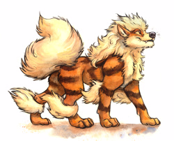 Size: 5038x4074 | Tagged: safe, artist:kenket, arcanine, canine, fictional species, mammal, feral, nintendo, pokémon, 2016, absurd resolution, ambiguous gender, brown eyes, fangs, fluff, fluffy, leg fluff, neck fluff, paws, side view, simple background, solo, solo ambiguous, tail, traditional art, white background