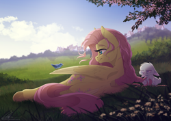 Size: 3947x2800 | Tagged: dead source, safe, artist:dvixie, angel bunny (mlp), fluttershy (mlp), bird, bluebird, equine, fictional species, mammal, pegasus, pony, songbird, feral, friendship is magic, hasbro, my little pony, blue eyes, braid, braiding, butt, cutie mark, feathered wings, female, floppy ears, folded wings, frog (hoof), group, hair, high res, hooves, lying down, male, mare, outdoors, scenery, tail, trio, underhoof, wings