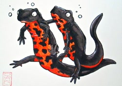 Size: 570x403 | Tagged: safe, artist:onionioniart, amphibian, fire belly newt, newt, feral, ambiguous gender, beady eyes, black eyes, duo, low res, simple background, tail, traditional art, white background