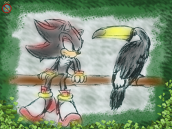Size: 2826x2123 | Tagged: safe, artist:shadowhatesomochao, shadow the hedgehog (sonic), bird, hedgehog, mammal, toco toucan, toucan, anthro, feral, lifelike feral, sega, sonic the hedgehog (series), 2011, ambiguous gender, clothes, digital art, duo, gloves, high res, male, non-sapient, quills, realistic, shoes, short tail, sneakers, tail, tree