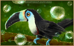 Size: 722x444 | Tagged: safe, artist:koshechkazlatovlaska, bird, toucan, yellow-ridged toucan, feral, animal jam (game), 2017, abstract background, ambiguous gender, animal jam art studio, black beak, bubbles, chest fluff, claws, digital art, feathered wings, feathers, fluff, non-sapient, orange eyes, signature, sitting, solo, solo ambiguous, tail, talons, tree, watermark, wings