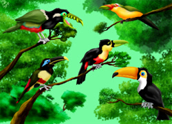 Size: 1000x723 | Tagged: safe, artist:lobaferoz, aracari, bird, chestnut-eared aracari, red-breasted toucan, saffron toucanet, spot-billed toucanet, toco toucan, toucan, feral, .psd available, 2006, amber eyes, ambiguous gender, blue eyes, digital art, green eyes, group, non-sapient, sky, tail, tree, yellow eyes