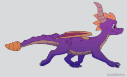 Size: 800x491 | Tagged: safe, artist:seasaltshrimp, spyro the dragon (spyro), dragon, fictional species, reptile, western dragon, feral, spyro the dragon (series), 2020, 2d, 2d animation, activision, animated, claws, digital art, frame by frame, gif, gray background, horns, looking forward, male, on model, purple eyes, scales, side view, simple background, solo, solo male, spines, tail, walking, webbed wings, wings