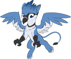 Size: 2279x1884 | Tagged: safe, artist:lux, oc, oc only, oc:lafiri, bird, blue jay, blue jay gryphon, corvid, feline, fictional species, gryphon, jay, mammal, songbird, feral, friendship is magic, hasbro, my little pony, 2020, bird feet, blue eyes, claws, feathered wings, feathers, flying, high res, looking down, male, simple background, solo, solo male, spread wings, tail, talons, transparent background, wings