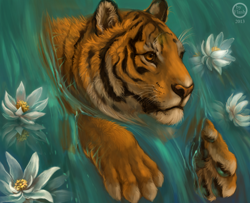 Size: 828x672 | Tagged: safe, artist:flashlioness, big cat, feline, mammal, tiger, feral, lifelike feral, 2013, ambiguous gender, flower, fur, looking forward, non-sapient, orange eyes, paw pads, paws, realistic, signature, solo, solo ambiguous, underpaw, water, water lily, whiskers