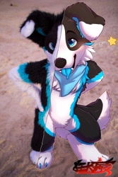 Size: 1365x2048 | Tagged: safe, artist:lupesuits, artist:yaxin6860, oc, oc only, oc:kori karma, border collie, canine, collie, dog, mammal, anthro, digitigrade anthro, 2020, arm behind back, blue eyes, cheek fluff, chest fluff, draw over, fangs, floppy ears, fluff, fursuit, hand on hip, high angle, irl, male, outdoors, paws, phone, photo, solo, solo male, tail, tongue, tongue out, watermark