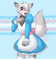 Size: 1936x2048 | Tagged: safe, artist:jellyclawsart, oc, oc only, canine, mammal, wolf, anthro, 2020, 2d, blushing, bow, chest fluff, clothes, cuffs (clothes), cute, dress, ear fluff, flag, fluff, hair, hair over one eye, legwear, looking at you, maid, maid outfit, male, phone, pride, pride flag, puffy sleeves, raised tail, signature, solo, solo male, stockings, tail, transgender, transgender pride flag