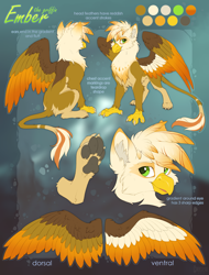 Size: 3103x4088 | Tagged: safe, artist:hioshiru, oc, oc only, oc:ember burd, bird, feline, fictional species, gryphon, mammal, feral, 2018, beak, bird feet, claws, colored wings, ear fluff, english text, feathered wings, feathers, fluff, gradient wings, green eyes, high res, leonine tail, male, multicolored wings, paw pads, paws, reference sheet, sitting, solo, solo male, spread wings, standing, tail, talons, text, underpaw, wings
