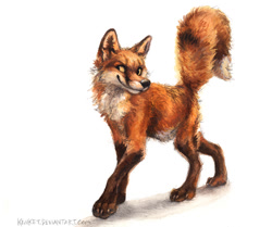 Size: 1037x869 | Tagged: safe, artist:kenket, canine, fox, mammal, red fox, feral, 2020, amber eyes, ambiguous gender, claws, fluff, paws, raised tail, simple background, smiling, solo, solo ambiguous, tail, traditional art, walking, white background