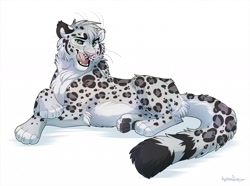 Size: 1280x950 | Tagged: safe, artist:antrage, oc, oc only, oc:kieran (kier_ish), big cat, feline, mammal, snow leopard, feral, 2020, black body, black fur, butt fluff, cheek fluff, fangs, fluff, fluffy, fluffy tail, fur, gray body, gray fur, green eyes, leg fluff, licking lips, looking at you, lying down, male, neck fluff, open mouth, paw pads, paws, prone, signature, simple background, solo, solo male, tail, teeth, tongue, tongue out, underpaw, whiskers, white background, white body, white fur