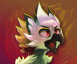 Size: 4336x3600 | Tagged: safe, artist:fiyawerks, oc, oc only, oc:fénix, bird, feline, fictional species, gryphon, mammal, ambiguous form, 2020, angry, beak, bust, caw, colored pupils, digital art, fire background, high res, looking forward, male, open beak, open mouth, portrait, red eyes, solo, solo male