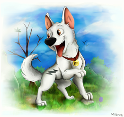 Size: 1250x1176 | Tagged: safe, artist:milanoss, bolt (bolt), canine, dog, german shepherd, mammal, feral, bolt (disney), disney, 2016, brown eyes, collar, digital art, fangs, fur, male, name tag, open mouth, outdoors, paws, pet tag, raised leg, solo, solo male, tail, teeth, tongue, tongue out