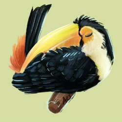 Size: 1600x1600 | Tagged: safe, artist:r-20, bird, toco toucan, toucan, feral, 1:1, 2020, ambiguous gender, digital art, eyes closed, green background, simple background, sleeping, solo, solo ambiguous, tail