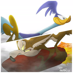 Size: 1920x1920 | Tagged: safe, artist:davealvarez, road runner (looney tunes), wile e. coyote (looney tunes), bird, canine, coyote, greater roadrunner, mammal, roadrunner, anthro, feral, looney tunes, warner brothers, 1:1, 2018, beak, claws, duo, duo male, fangs, feathers, male, males only, paws, rocket, signature, tail, tail feathers, talons