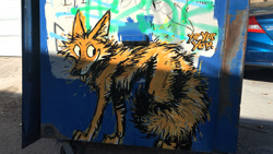 Size: 1935x1094 | Tagged: safe, artist:animalartcrimes, canine, coyote, mammal, feral, 2020, ambiguous gender, blep, english text, fluff, fluffy, fluffy tail, graffiti, irl, looking sideways, onomatopoeia, paws, photo, solo, solo ambiguous, street art, tail, text, tongue, tongue out
