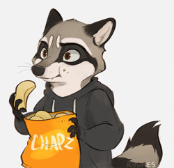 Size: 600x579 | Tagged: safe, artist:kyukes, oc, oc only, mammal, procyonid, raccoon, anthro, brown eyes, chips, clothes, ears, eating, fluff, food, hand hold, holding, hoodie, looking at something, male, ringtail, signature, simple background, solo, solo male, tail, tail fluff, topwear, whiskers