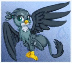 Size: 500x442 | Tagged: safe, artist:raininess, gabby (mlp), bird, feline, fictional species, gryphon, feral, friendship is magic, hasbro, my little pony, 2020, abstract background, beak, bird feet, blue background, chest fluff, colored pupils, eyelashes, feathered wings, feathers, female, fluff, green eyes, leonine tail, looking at you, low res, open beak, open mouth, paw pads, paws, simple background, solo, solo female, spread wings, tail, underpaw, watermark, wings
