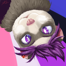 Size: 469x469 | Tagged: safe, artist:yemmie, oc, oc only, oc:dal desantis, ferret, mammal, mustelid, anthro, 1:1, abstract background, flag, fluff, genderfluid, genderfluid pride flag, looking at you, low res, neck fluff, pride, pride flag, silly, solo, upside down