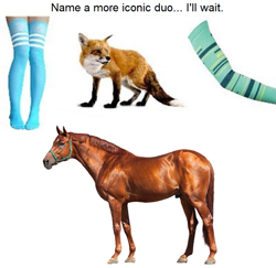 Size: 749x728 | Tagged: source needed, safe, canine, equine, fox, horse, mammal, red fox, feral, animal genitalia, arm warmer, arm warmers, bridle, clothes, duo, fur, hair, iconic duo, irl, legwear, male, mane, meme, nudity, photo, sheath, side view, size difference, socks, standing, striped arm warmers, striped clothes, striped legwear, tack, tail, thigh highs