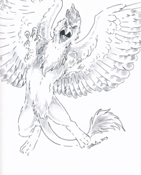 Size: 2472x3064 | Tagged: safe, artist:heather bruton, oc, oc only, oc:serilde, bird, bird of prey, eagle, feline, fictional species, gryphon, mammal, spanish imperial eagle, feral, beak, claws, eagle gryphon, feathered wings, feathers, female, high res, monochrome, open mouth, paws, solo, solo female, spread wings, tail, tail tuft, talons, wings